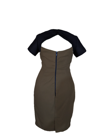 Twist & Grace Two-Tone Dress